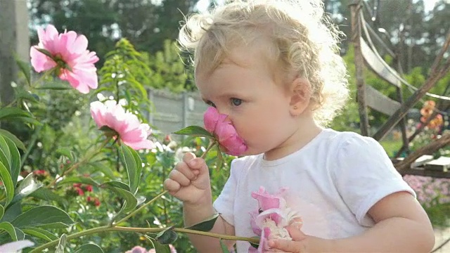 小女孩在闻一朵花。视频素材
