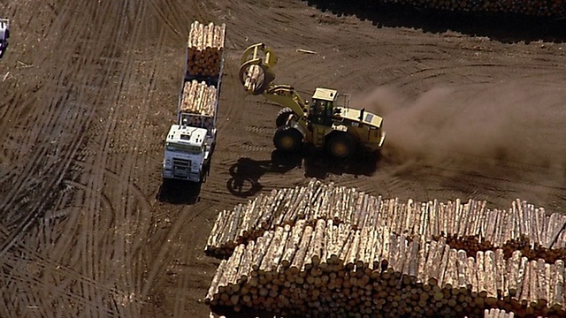 用推土机把原木装上卡车视频下载