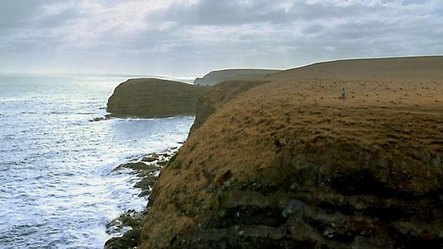 在悬崖/弗林德斯，莫宁顿半岛，中景吊车拍摄到长景夫妇视频素材