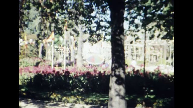 1977年塞维利亚视频下载