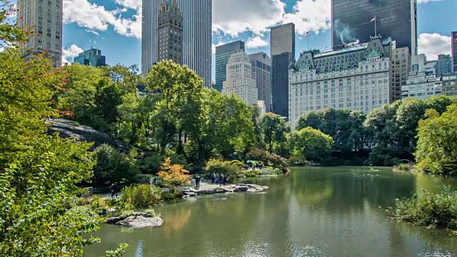 纽约，中央公园的天际线视频下载