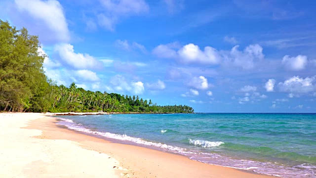 岛上的热带海滩视频下载
