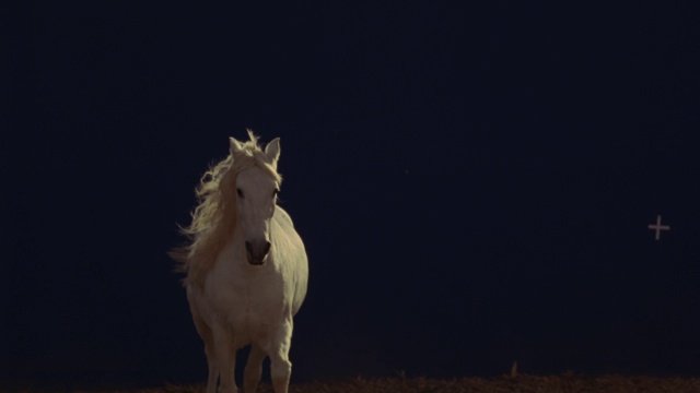 一匹白马在蓝屏前奔跑的慢动作镜头。视频素材