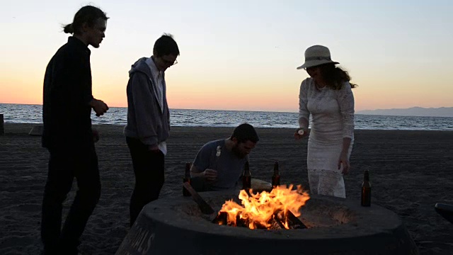 朋友们在海滩篝火上烤棉花糖视频素材