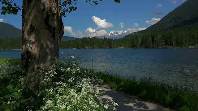德国巴伐利亚州上巴伐利亚拉姆绍附近的腹地湖视频素材