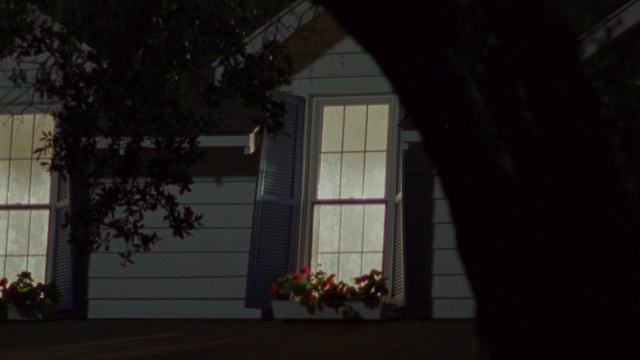一个花盒子装饰着屋顶窗的前面。视频下载