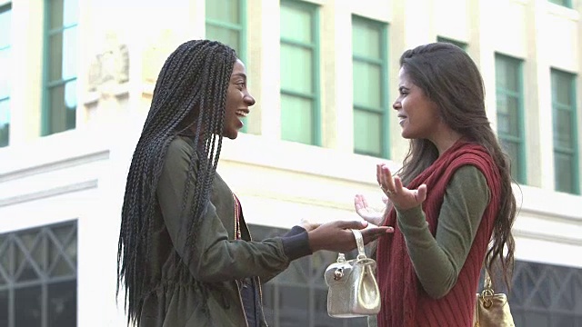 两个不同种族的女友重聚视频素材