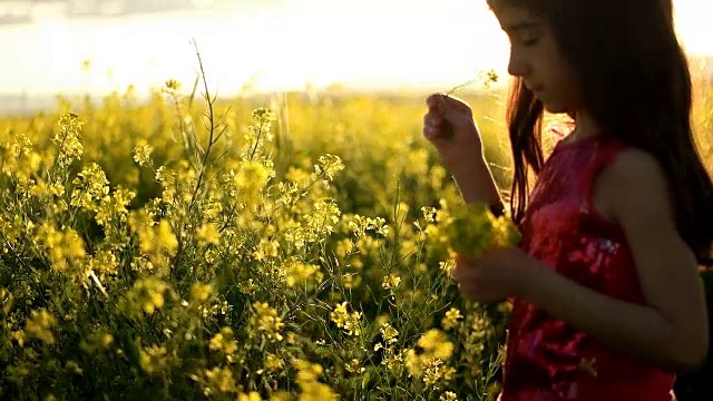 小女孩在花丛中视频下载