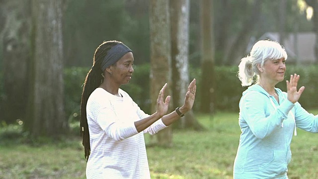 两个成熟的女人在公园里练太极视频素材