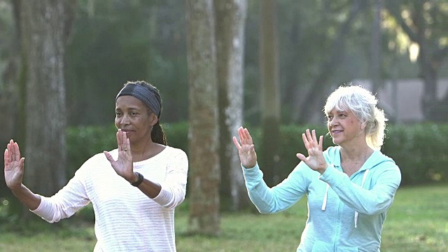 两个成熟的女人在公园里练太极视频素材