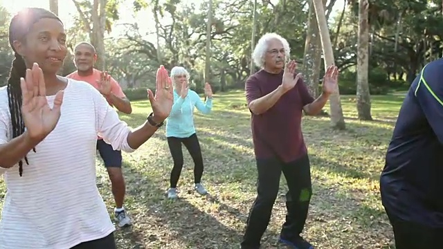 多民族老年人在公园里打太极视频素材