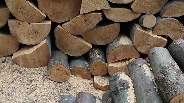 大型林业木材桩视频下载