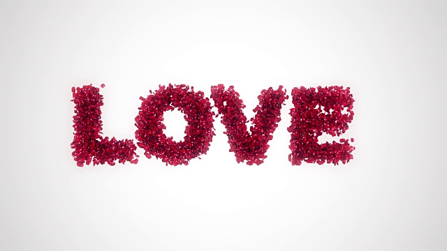 玫瑰花瓣从白色的爱情背景中飞舞视频素材