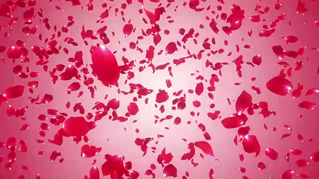 玫瑰花瓣从爱的粉红色背景飞舞视频素材