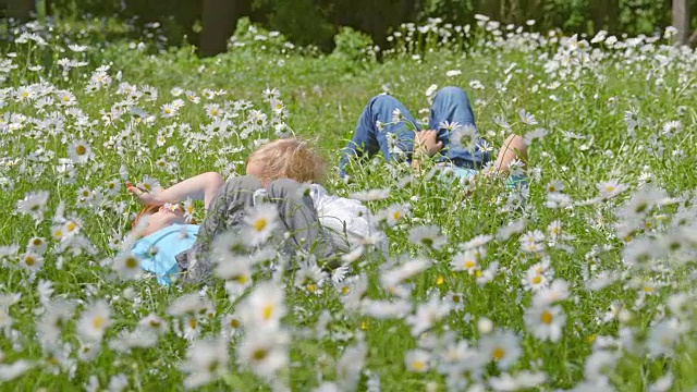 孩子们躺在雏菊丛中视频素材