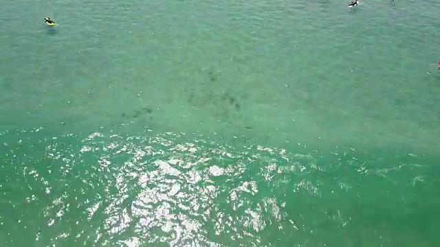冲浪者的航拍视频下载