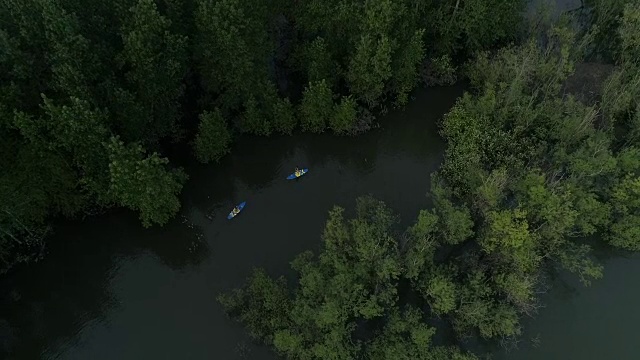 两个人划着桨穿过被洪水淹没的森林的航拍视频素材