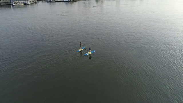 年轻男女在SUP上划桨视频下载