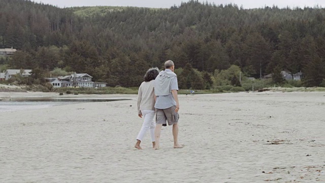 一对老夫妇在海滩上散步视频下载