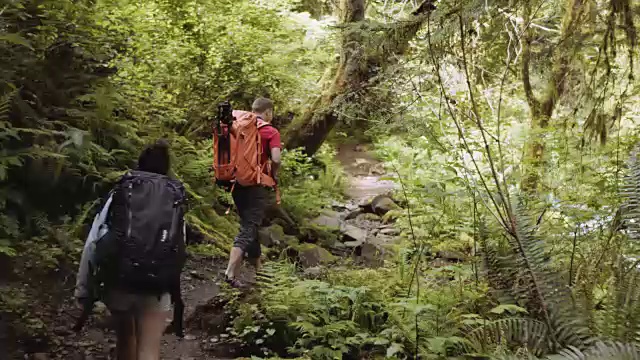 一对年轻的异性恋夫妇背包穿越森林视频素材