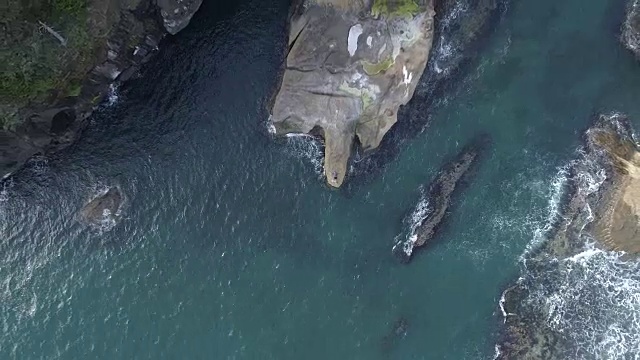 这是雄性成年企鹅在岩石露头上放松的照片视频下载