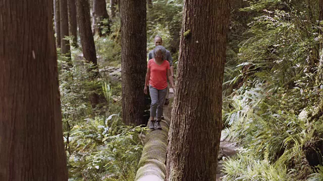 一对老年夫妇走在木头上穿过树林视频下载