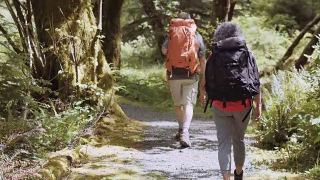 一对老夫妇背包穿越树林视频下载