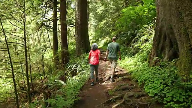 一对老夫妇要去树林里徒步旅行视频下载