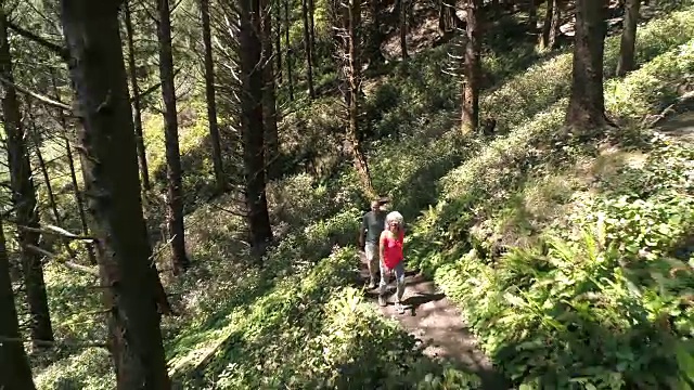一对老夫妇徒步穿越一片古老的森林视频下载