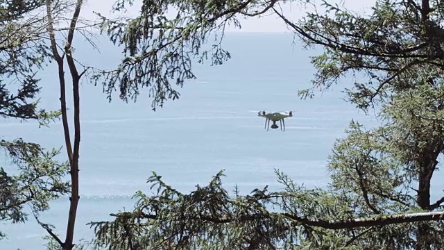 小型无人机在树林中飞行视频下载