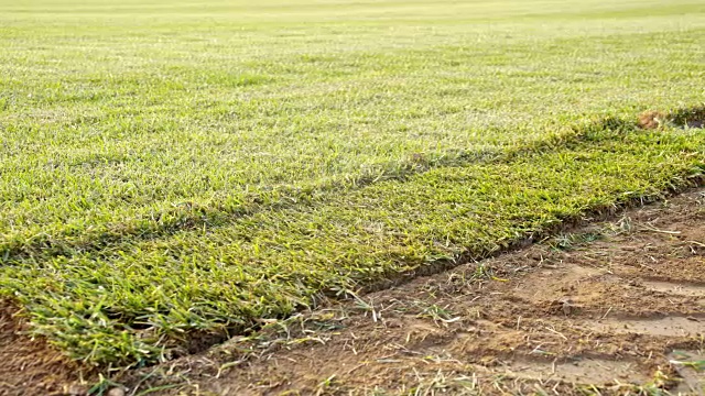 SLO MO DS手展开草地上的草皮视频下载