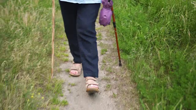 老年北欧人在乡村散步视频下载