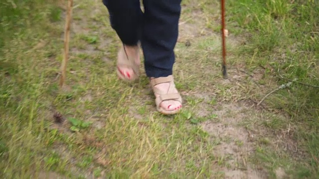 老年北欧人在乡村散步视频下载
