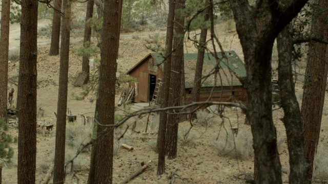 中等角度的木屋，棚子，或棚屋。森林中的松树。视频素材