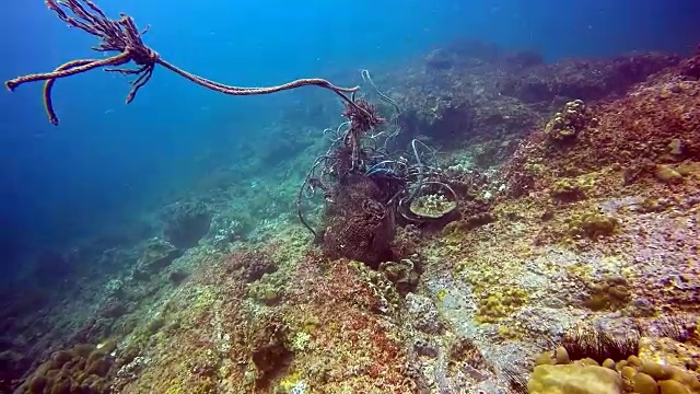 水下捕鱼鬼网对环境的破坏。视频下载