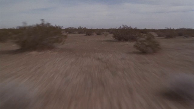 空中拍摄的沙漠。波夫低低地飞过地面。看到灌木丛和风滚草，山在背景。视频下载