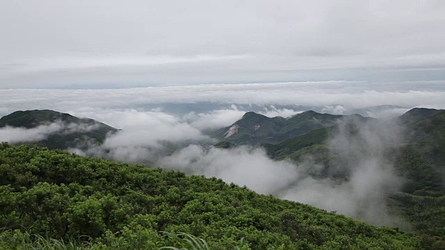 鸟瞰图山上森林覆盖着云视频素材