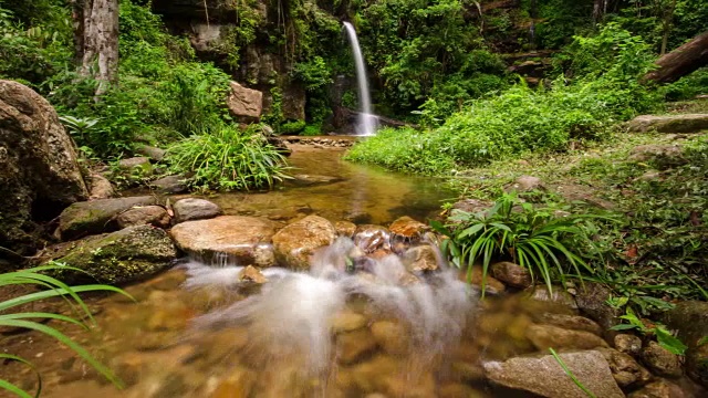 瀑布和绿色自然时光流逝，自然镜头背景视频下载
