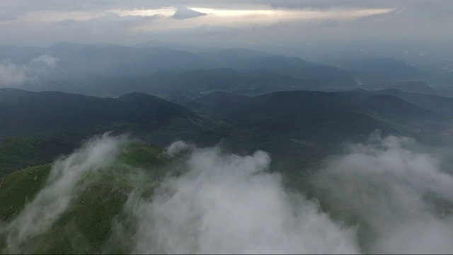 鸟瞰图山上森林覆盖着云视频素材