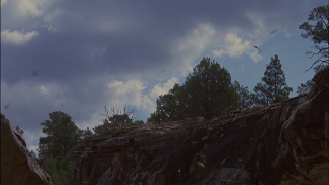 蝙蝠在岩石峭壁上空盘旋。视频素材