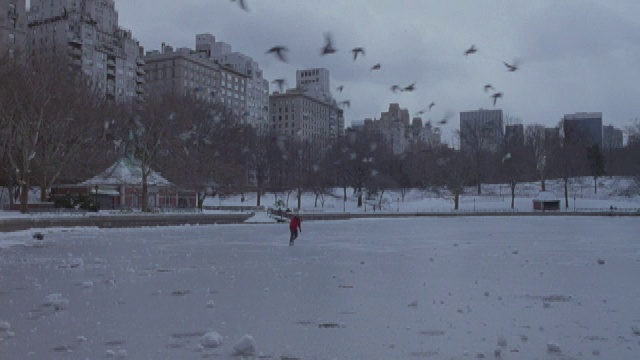 一个人在纽约中央公园池塘溜冰。视频素材