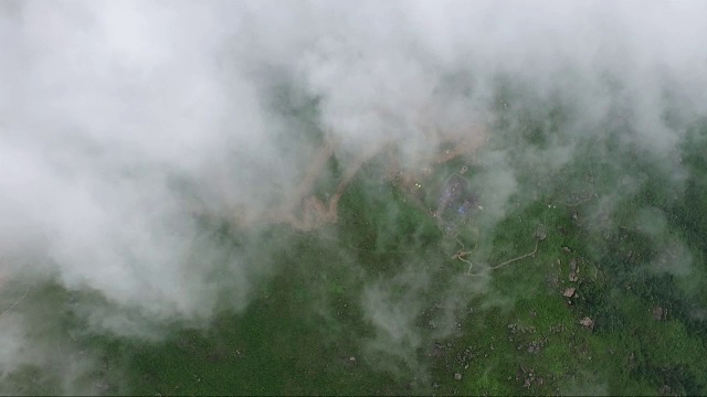 鸟瞰图的森林覆盖着云雾视频下载