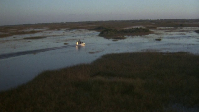 一艘汽艇穿过大沼泽地。视频素材