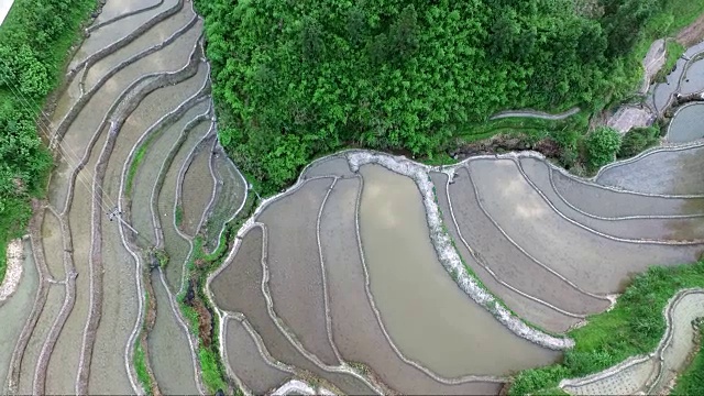 稻田在山上鸟瞰视频下载