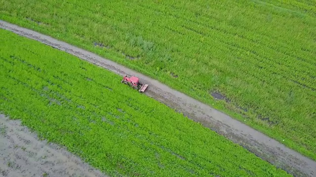 航拍图拖拉机在收获的田地在泰国视频下载
