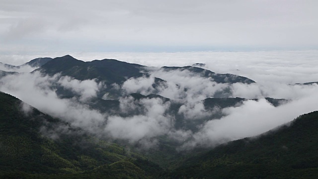 鸟瞰图山上森林覆盖着云视频下载