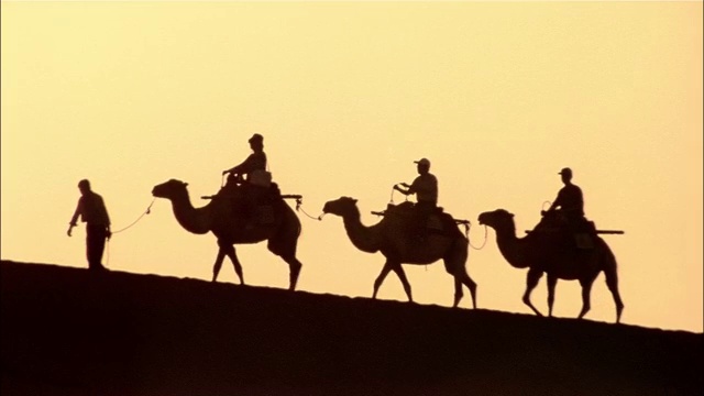 一个轮廓分明的骆驼商队沿着沙漠山脊行进。视频下载