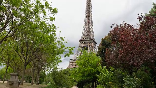 站在巴黎战神广场的花园里，仰望埃菲尔铁塔视频素材