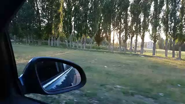 夕阳在一棵大树后面视频下载