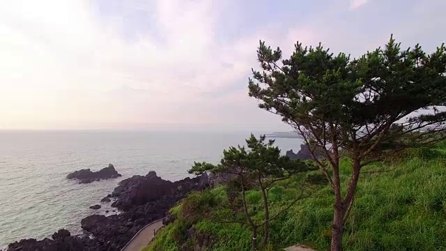 济州岛海岸步道鸟瞰图视频素材